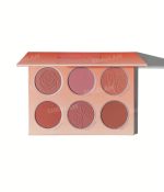 پالت رژگونه شیگلم-Sheglam pallet