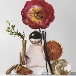 ادکلن کایلی جنر-Parfume 🪄 - Image 3
